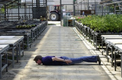 Greenhouseplanking